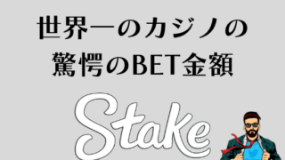 Stakeカジノ　1日BET金額